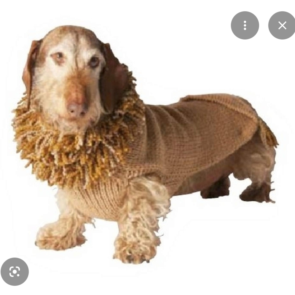 New! Chilly Dog Wool Lion Dog Sweater Size L